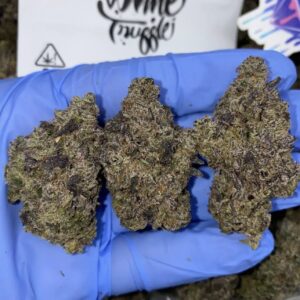 White Truffles (Hybrid)