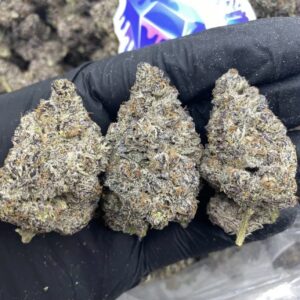 Oreoz (Hybrid)