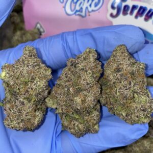Truffel Cake (Indica)