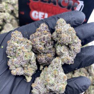 Black Cherry Gelato (Hybrid)