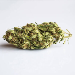 Granddaddy Purple (Indica)