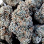 Topshelf Weed