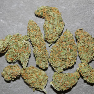 Sherbert (Hybrid)