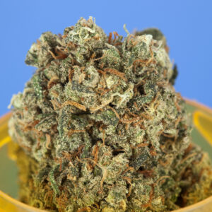 Purple Kush (Indica)